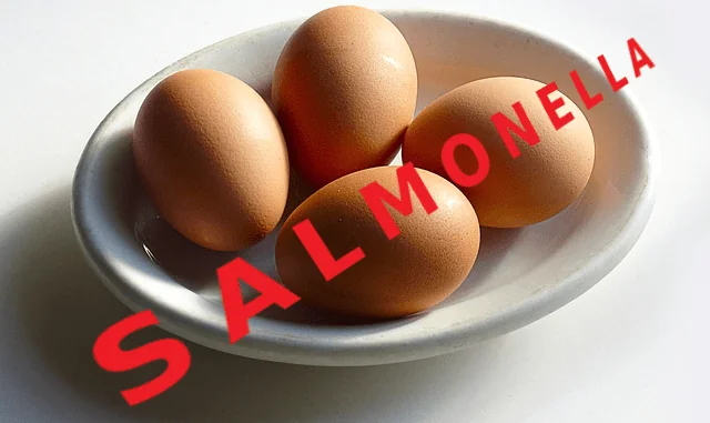 SALMONELLA