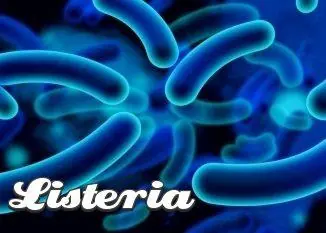 Listeria monocytogenes