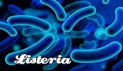 listeria3 Listeria monocytogenes