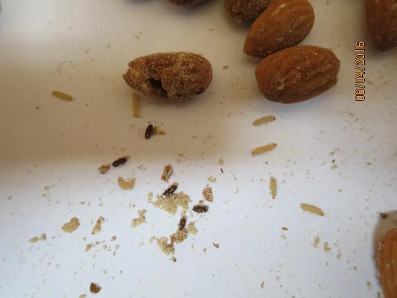 Nebezpečný výrobek: TESCO mandle Jádra 200g