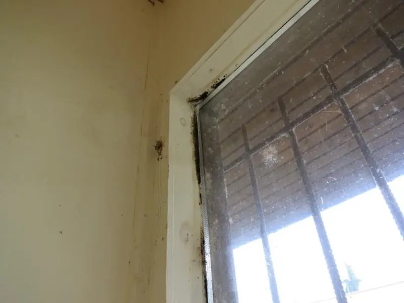 Pekárna uzavřena, ignorována hygiena