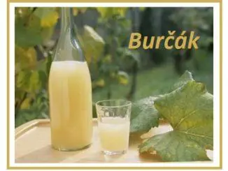 Burčák