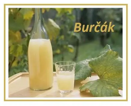 Burčák Burčák