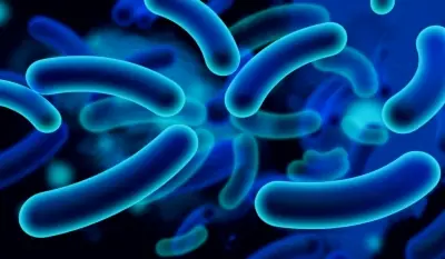 ID-10066072 e.coli