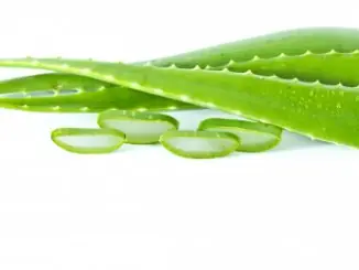 aloe vera superpotraviny