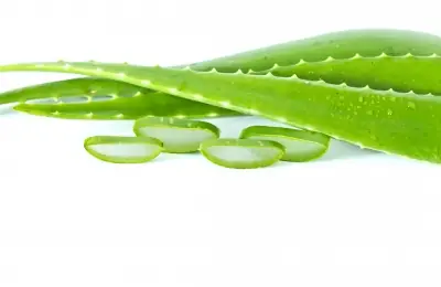 aloe vera superpotraviny